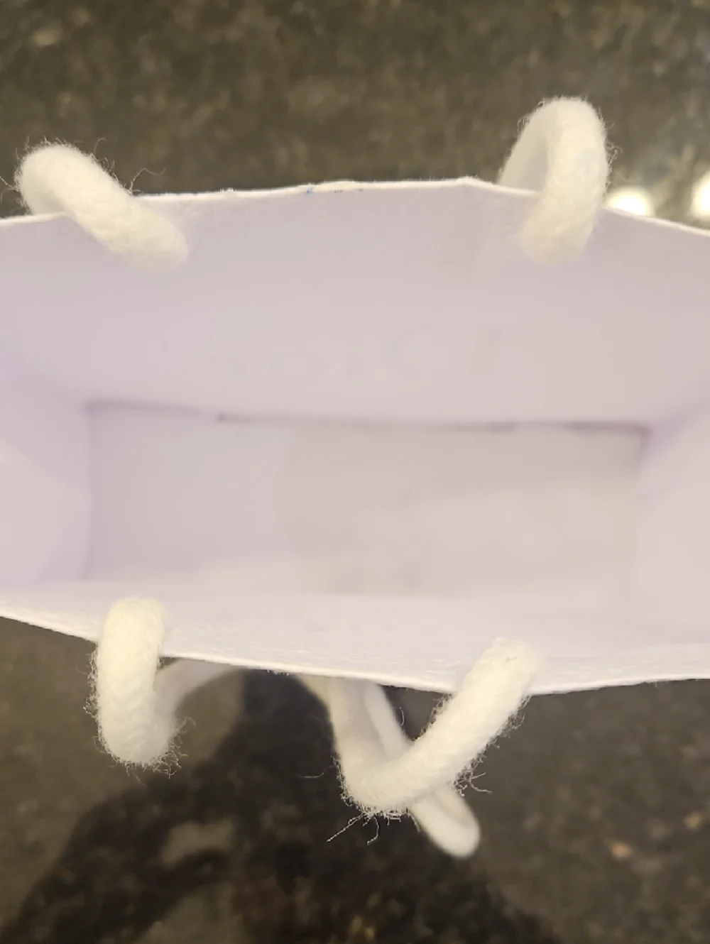 Dior Small Textured Gift Bag in Pale Pink with Black Logo - Picture 4 of 4